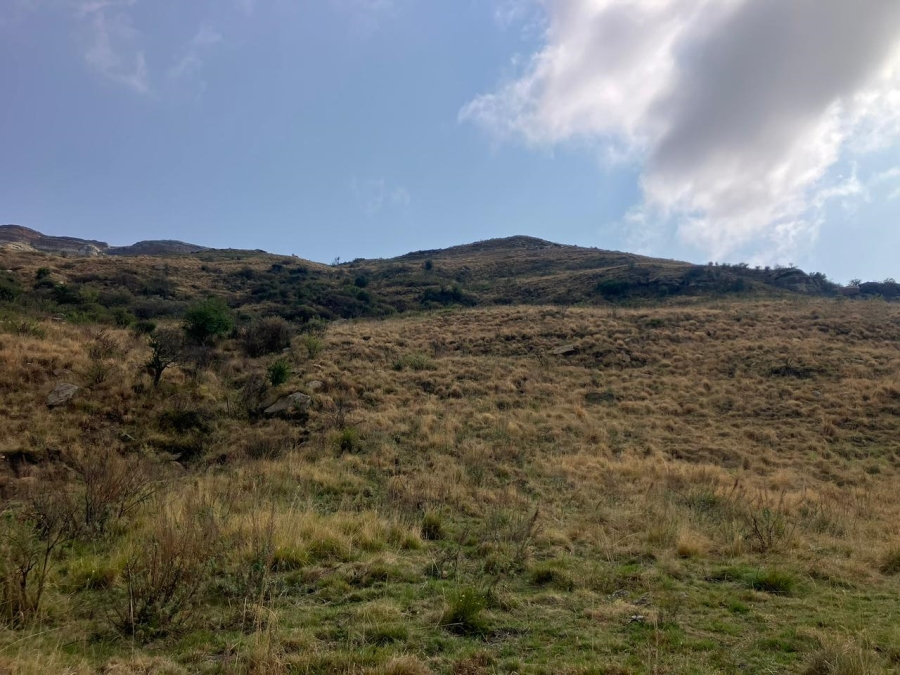 Commercial Property for Sale in Harrismith Rural Free State